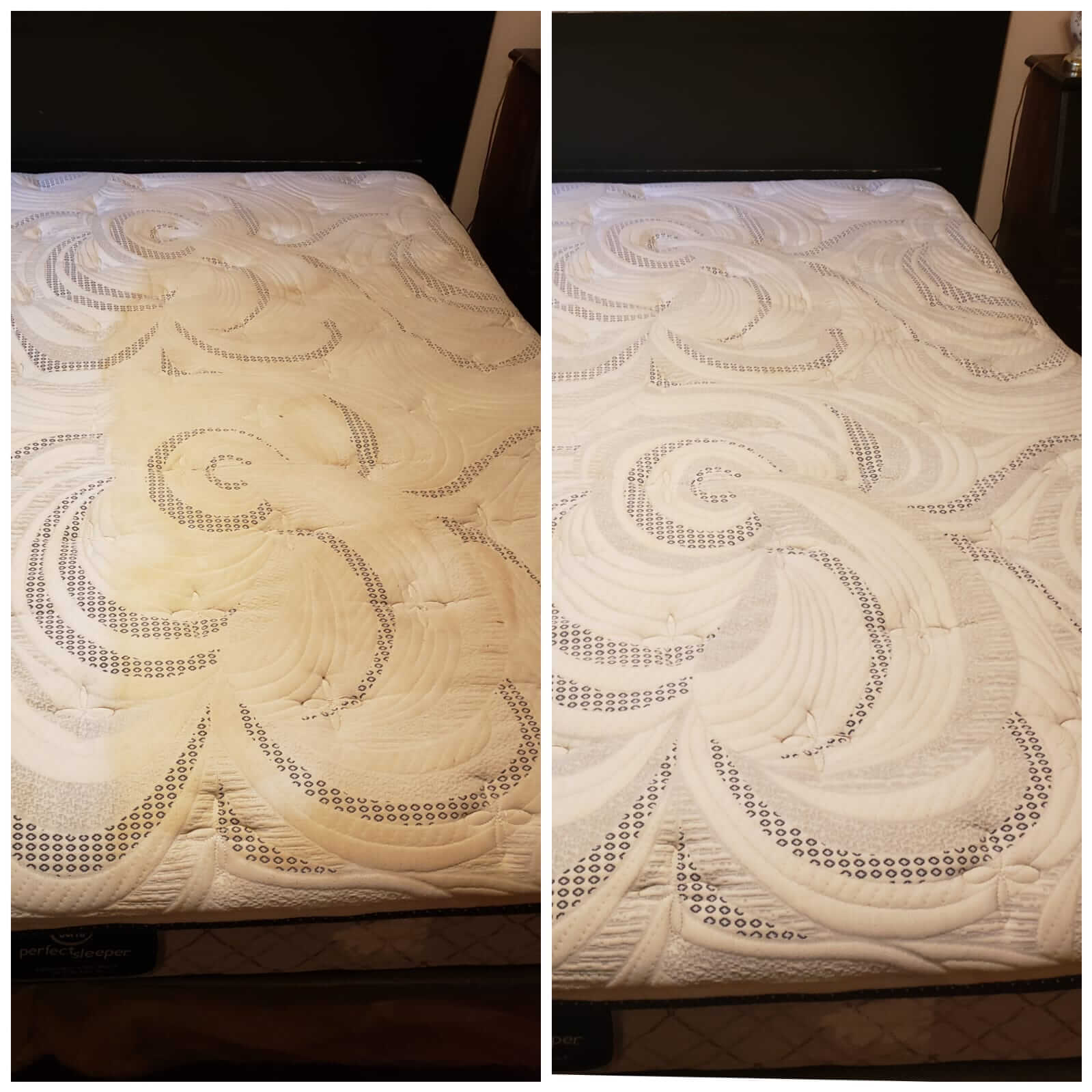 Carpet Cleaning Near Me