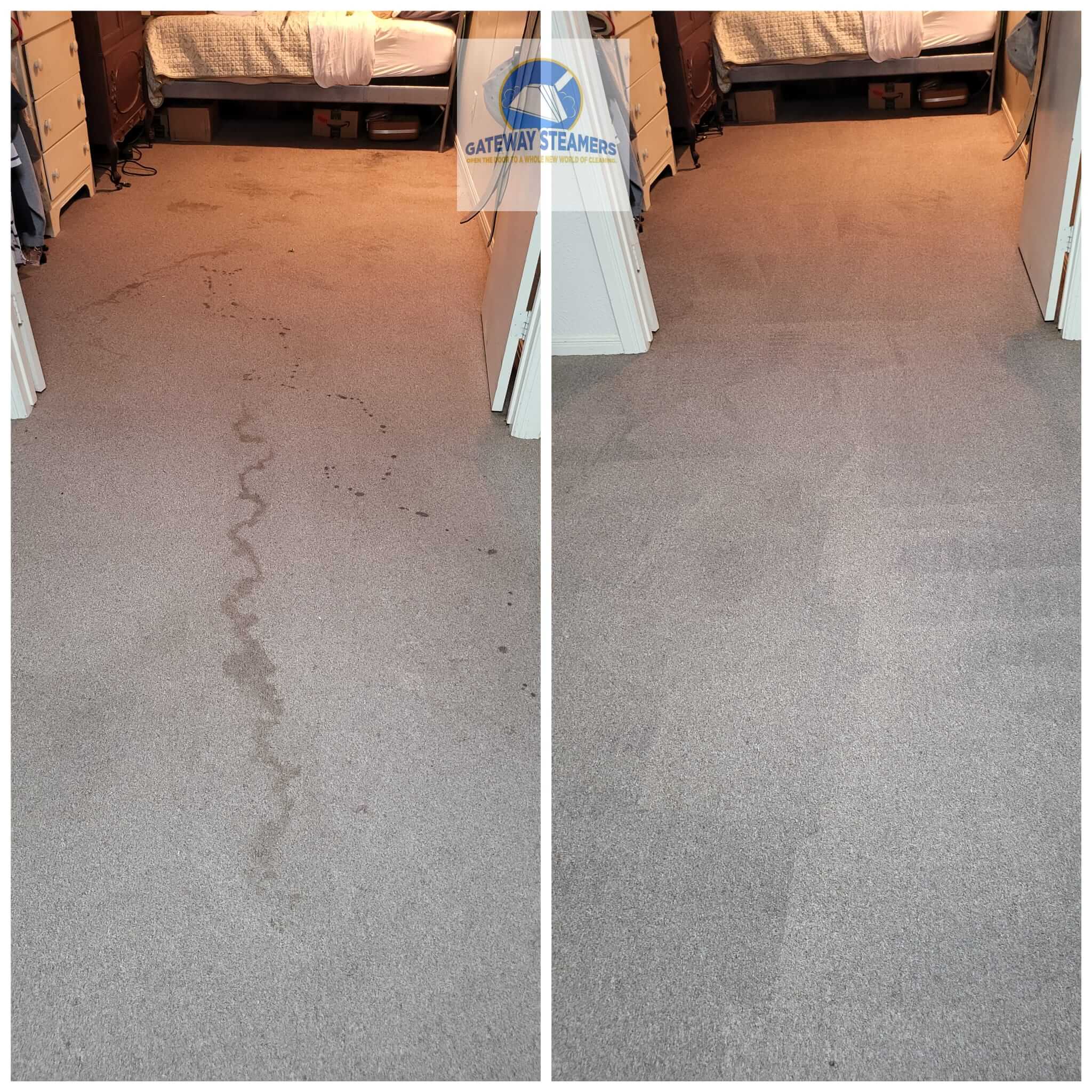 5 Things to remember when cleaning carpets Gateway Steamers